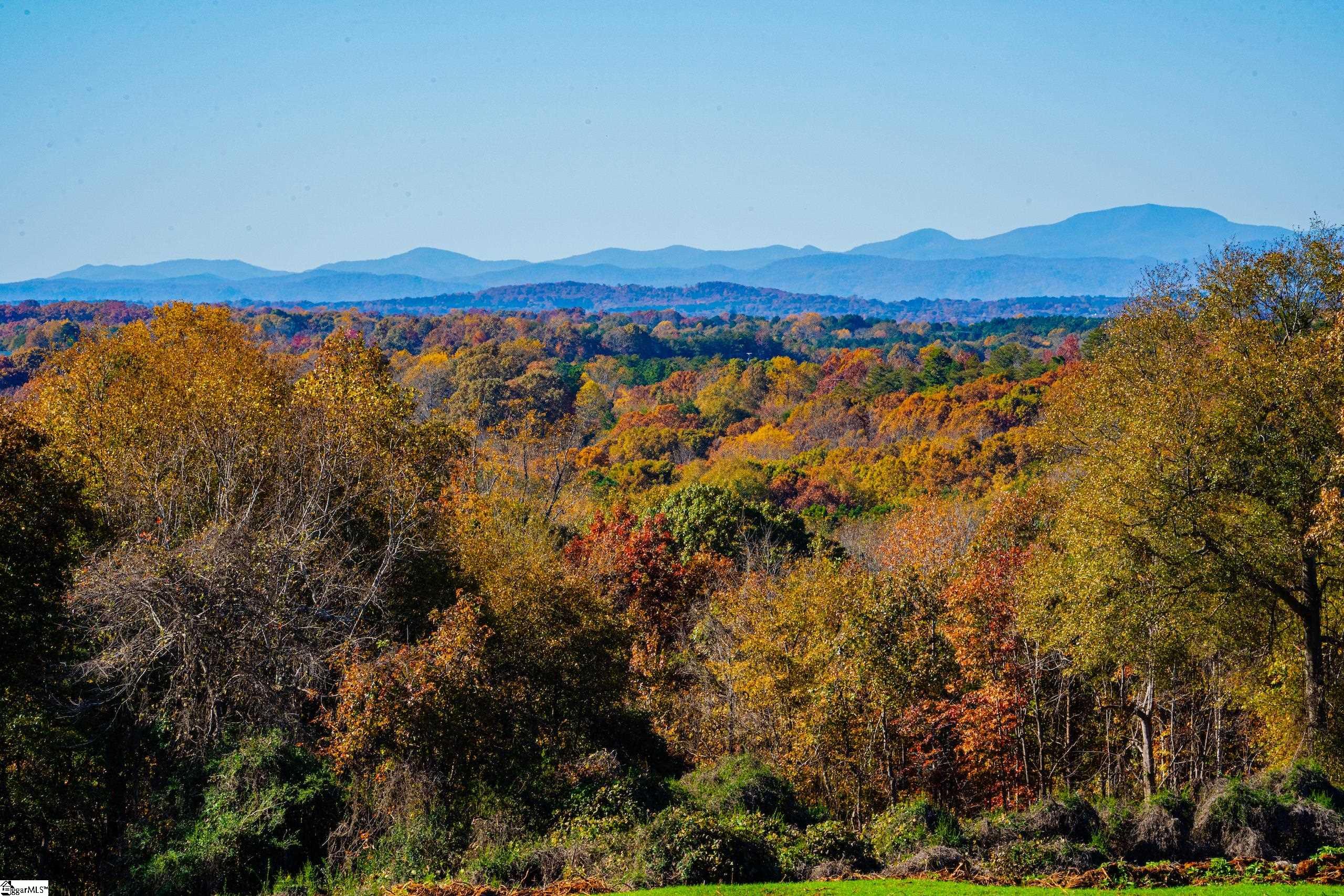 309 Mountain Top Trail Easley, SC 29640 - Photo 10 of 10 View From Mountain Top Common Facility