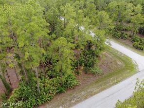 3100 East 22nd Street Alva, FL 33920 - Photo 1 of 2 a view of a forest with a tree