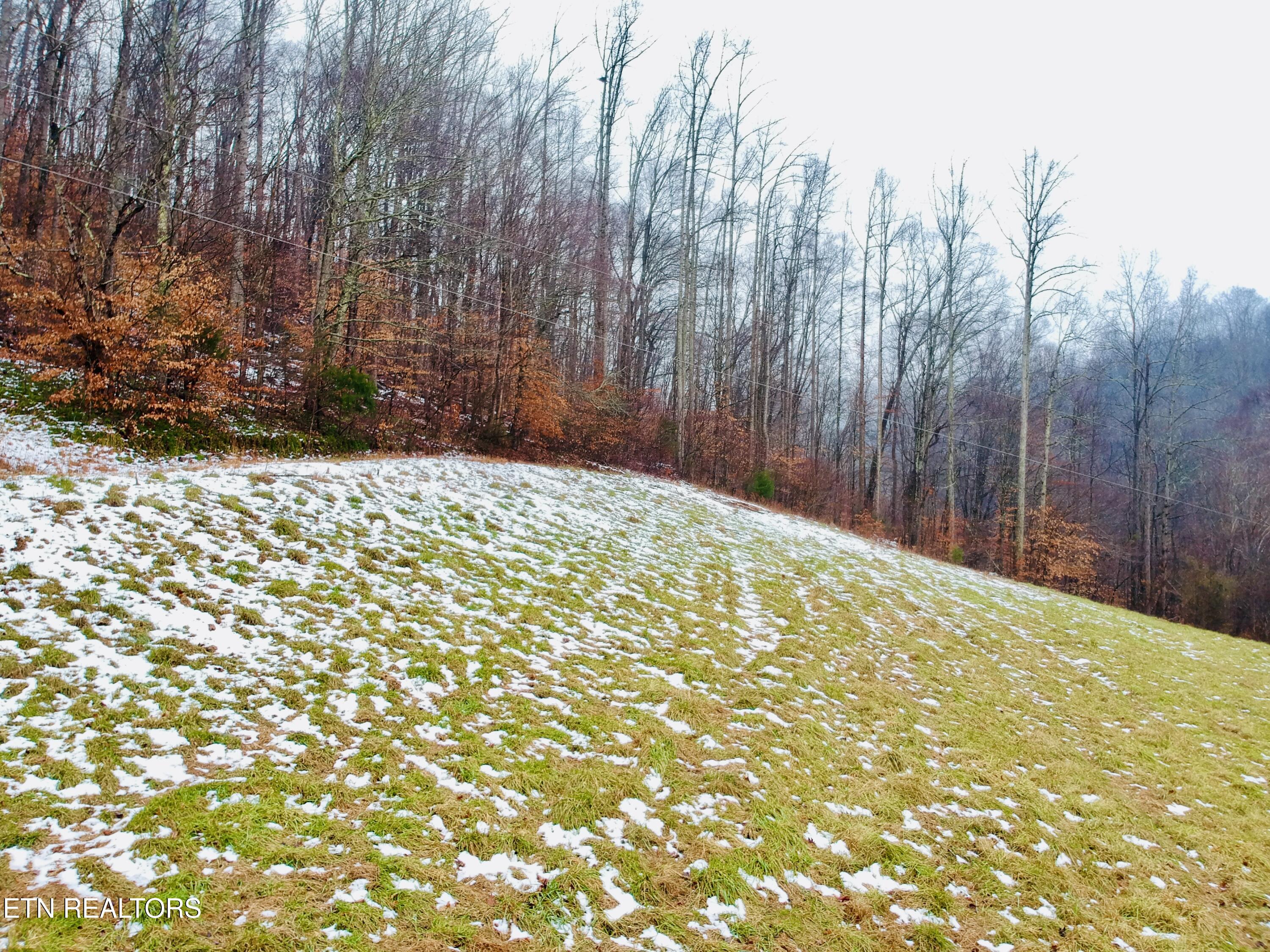 324 Vannoy Road Tazewell, TN 37879 - Photo 11 of 54 DJI_0976