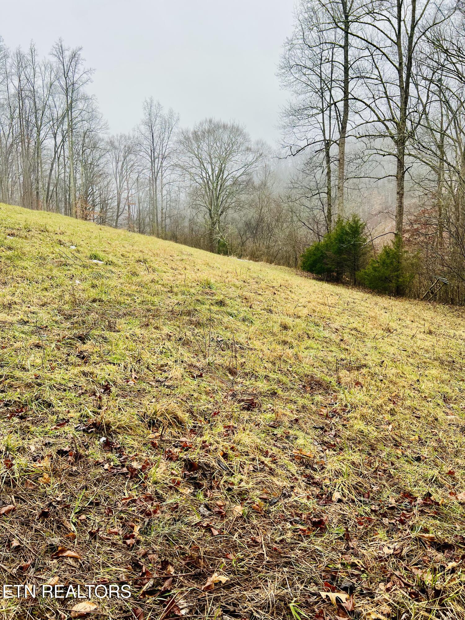 324 Vannoy Road Tazewell, TN 37879 - Photo 12 of 54 IMG_2893