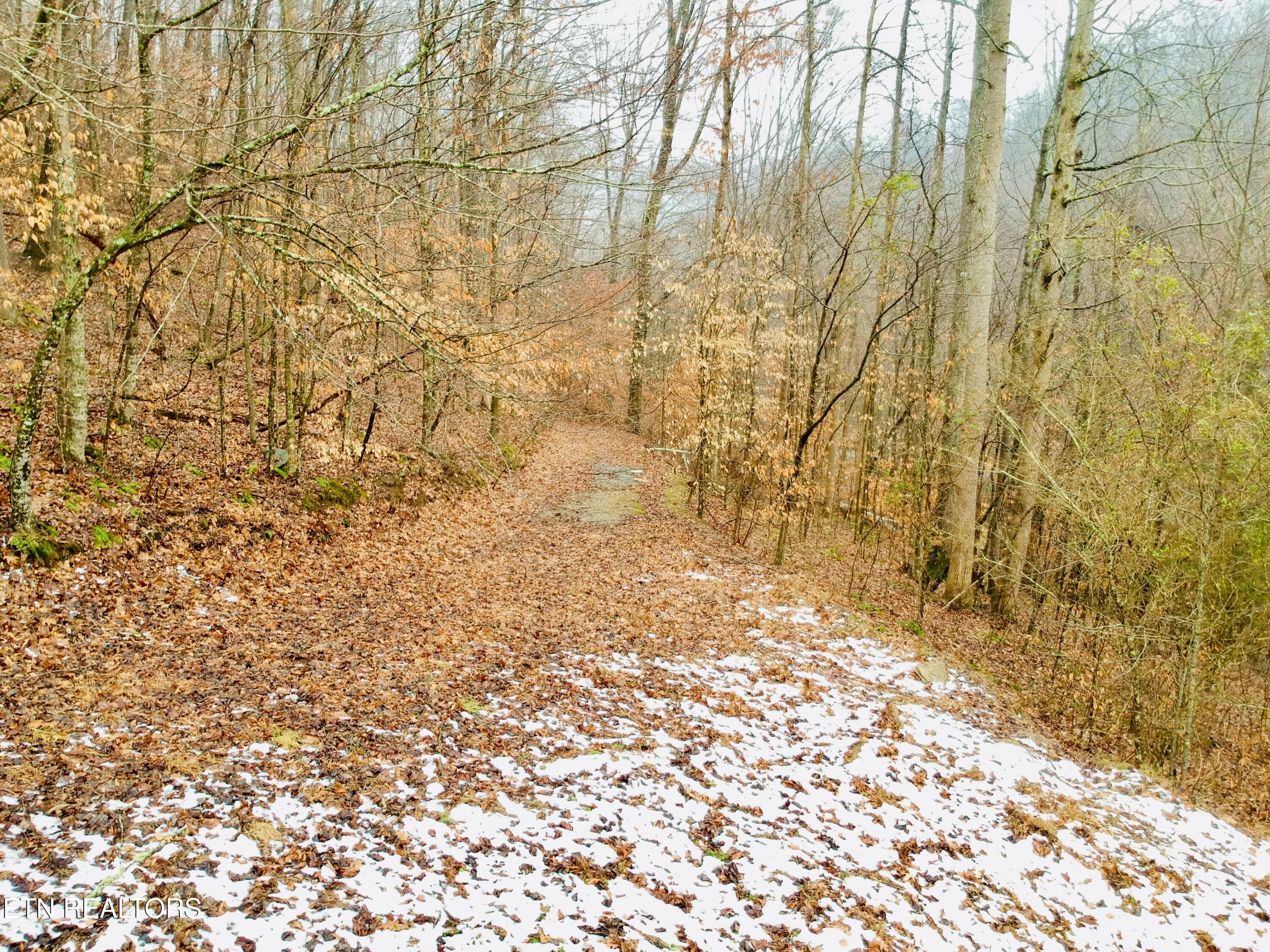 324 Vannoy Road Tazewell, TN 37879 - Photo 3 of 54 DJI_0966