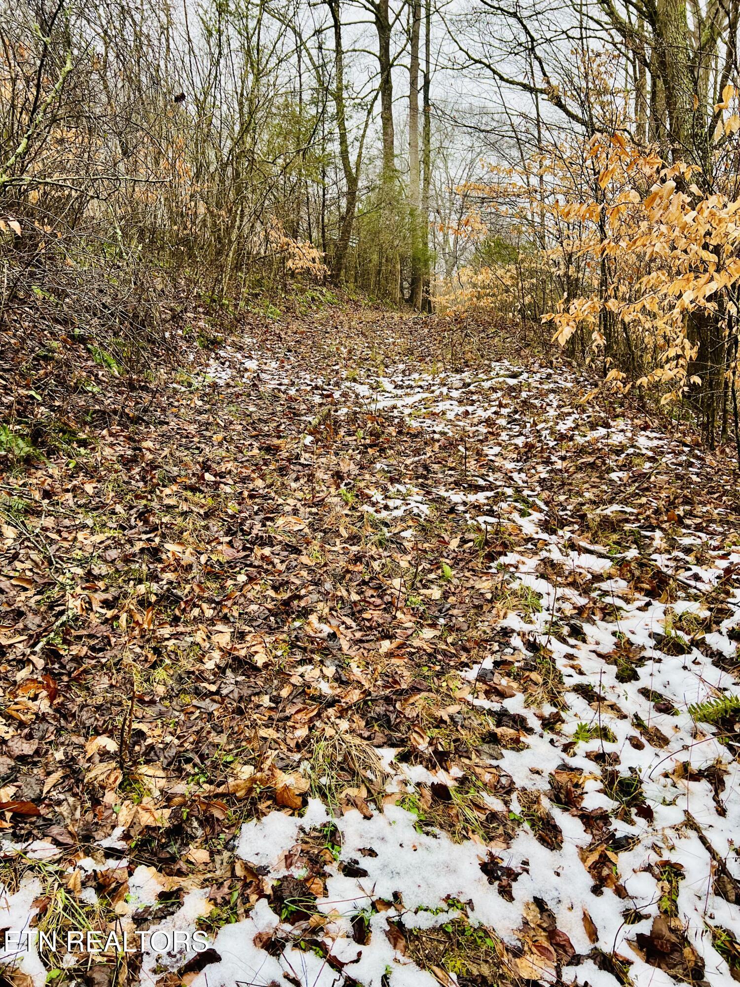 324 Vannoy Road Tazewell, TN 37879 - Photo 35 of 54 IMG_2940