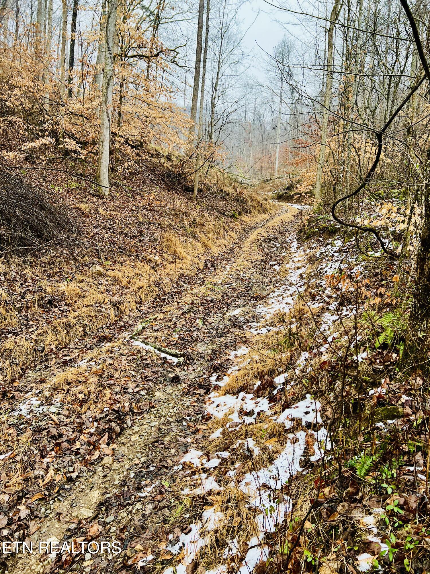 324 Vannoy Road Tazewell, TN 37879 - Photo 36 of 54 IMG_2944