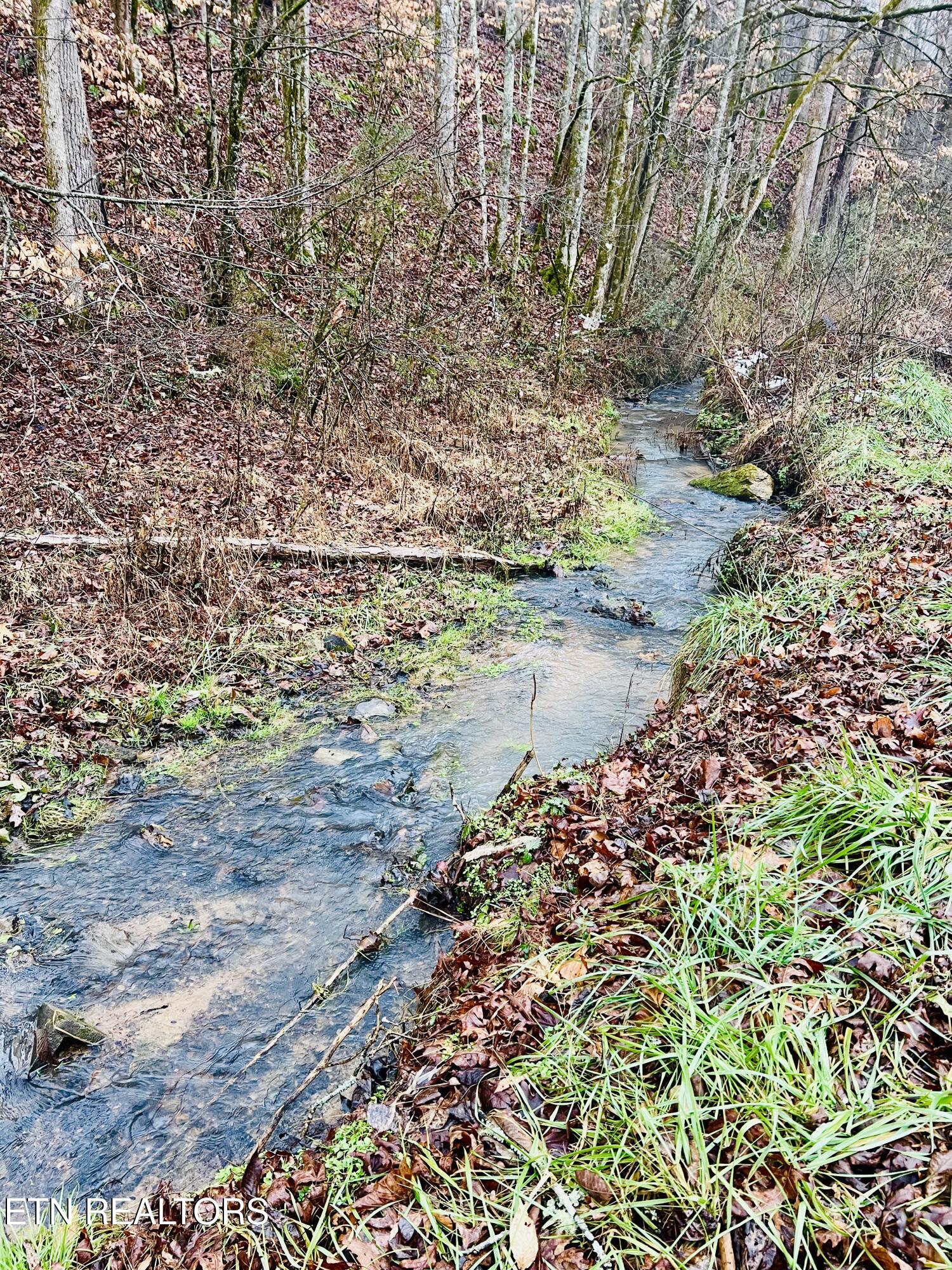 324 Vannoy Road Tazewell, TN 37879 - Photo 37 of 54 IMG_2947