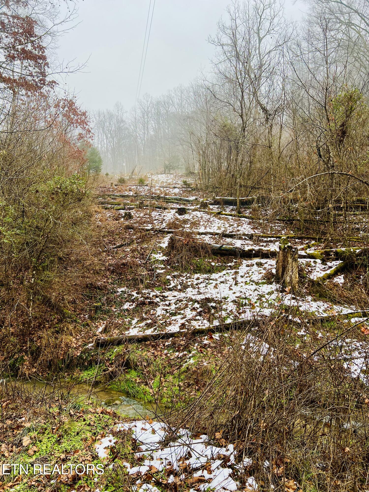 324 Vannoy Road Tazewell, TN 37879 - Photo 40 of 54 IMG_2950