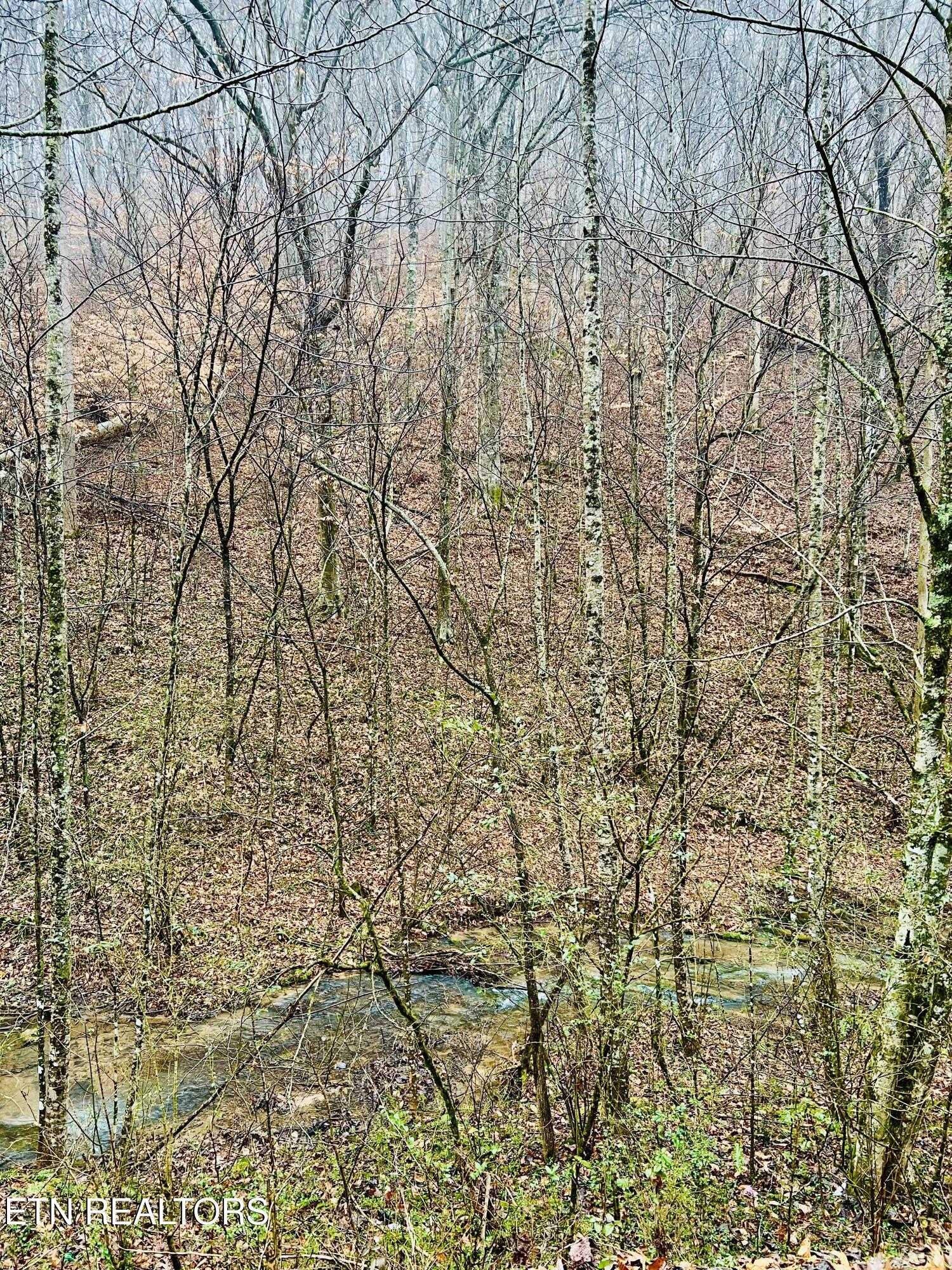 324 Vannoy Road Tazewell, TN 37879 - Photo 41 of 54 IMG_2951