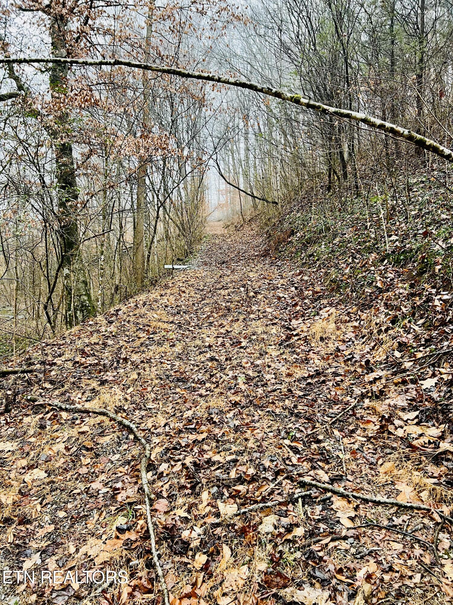 324 Vannoy Road Tazewell, TN 37879 - Photo 42 of 54 IMG_2954