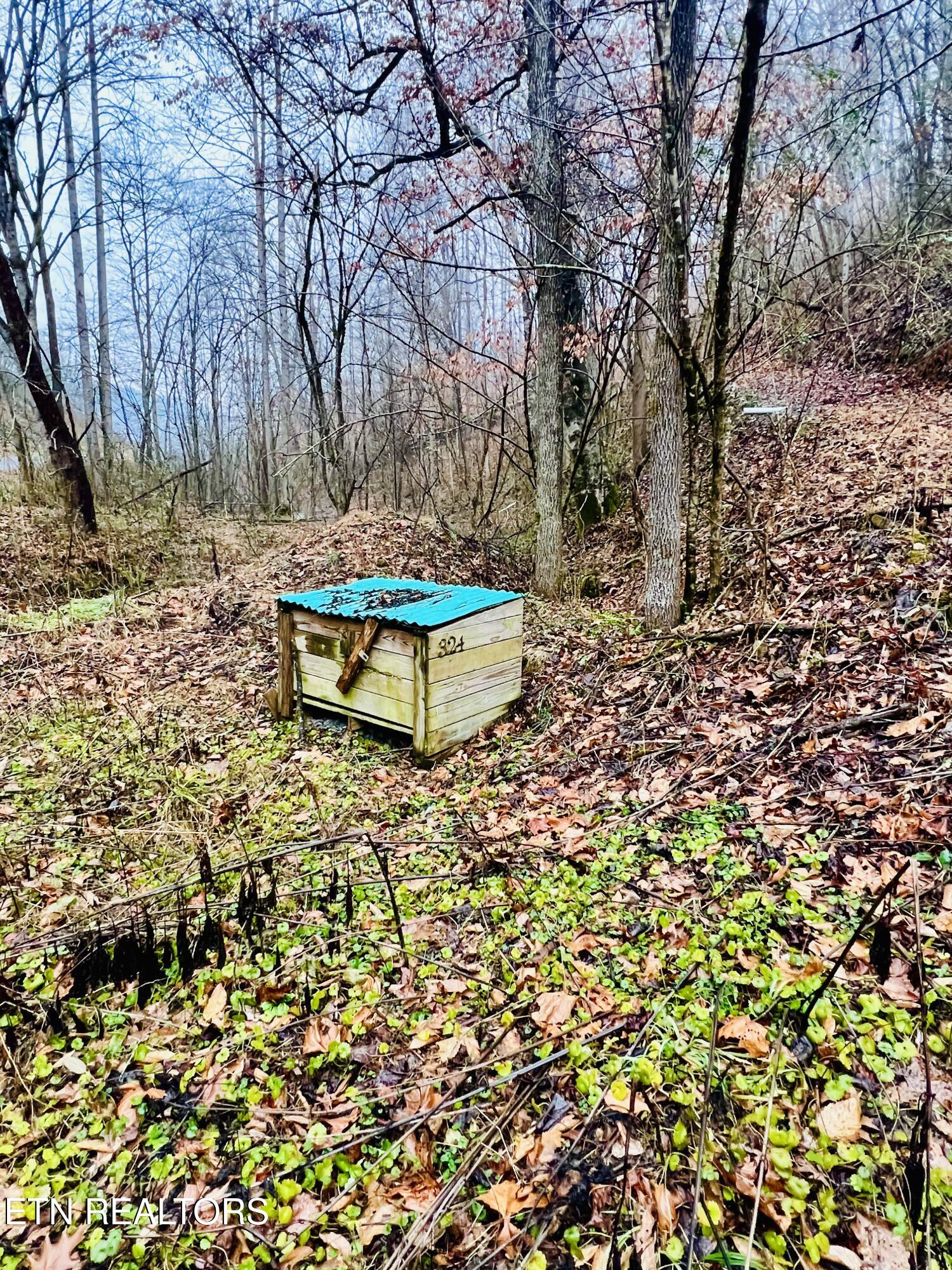 324 Vannoy Road Tazewell, TN 37879 - Photo 43 of 54 IMG_2956