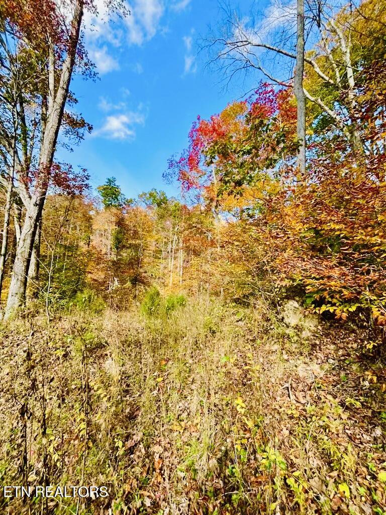 324 Vannoy Road Tazewell, TN 37879 - Photo 48 of 54 IMG_6898