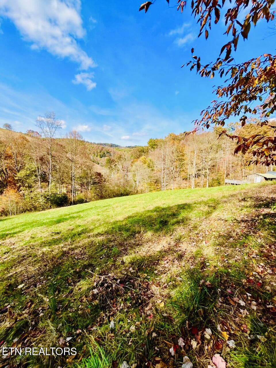 324 Vannoy Road Tazewell, TN 37879 - Photo 50 of 54 IMG_6907