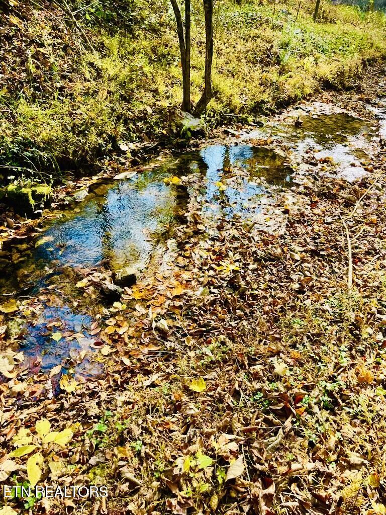 324 Vannoy Road Tazewell, TN 37879 - Photo 51 of 54 IMG_6909