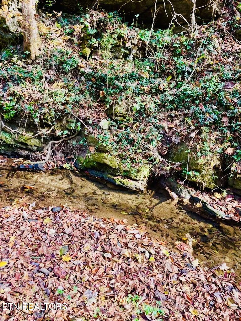 324 Vannoy Road Tazewell, TN 37879 - Photo 52 of 54 IMG_6910