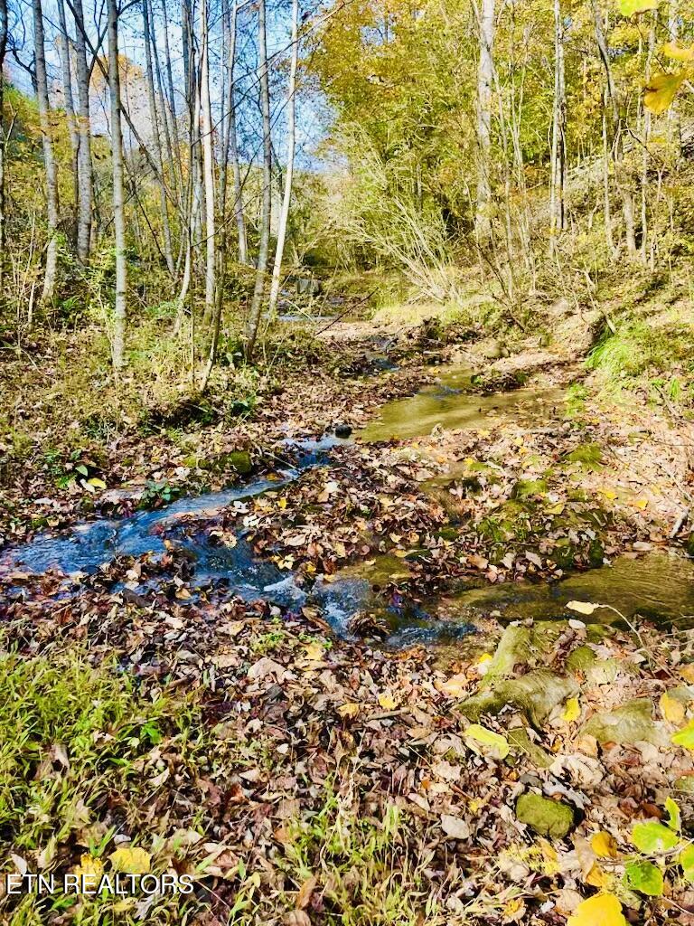 324 Vannoy Road Tazewell, TN 37879 - Photo 54 of 54 IMG_6912