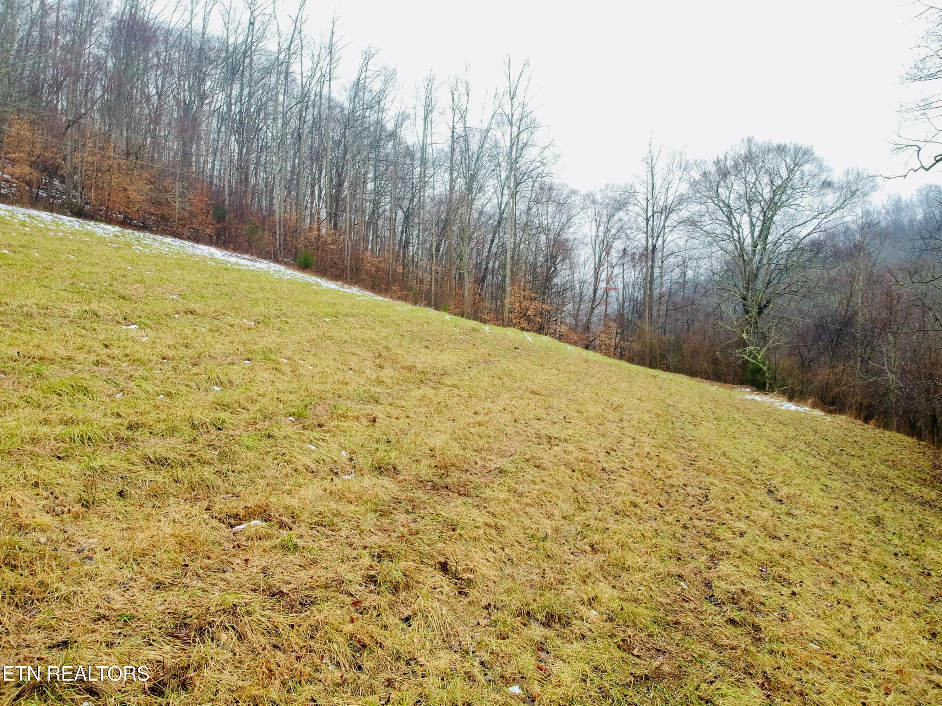 324 Vannoy Road Tazewell, TN 37879 - Photo 6 of 54 DJI_0970