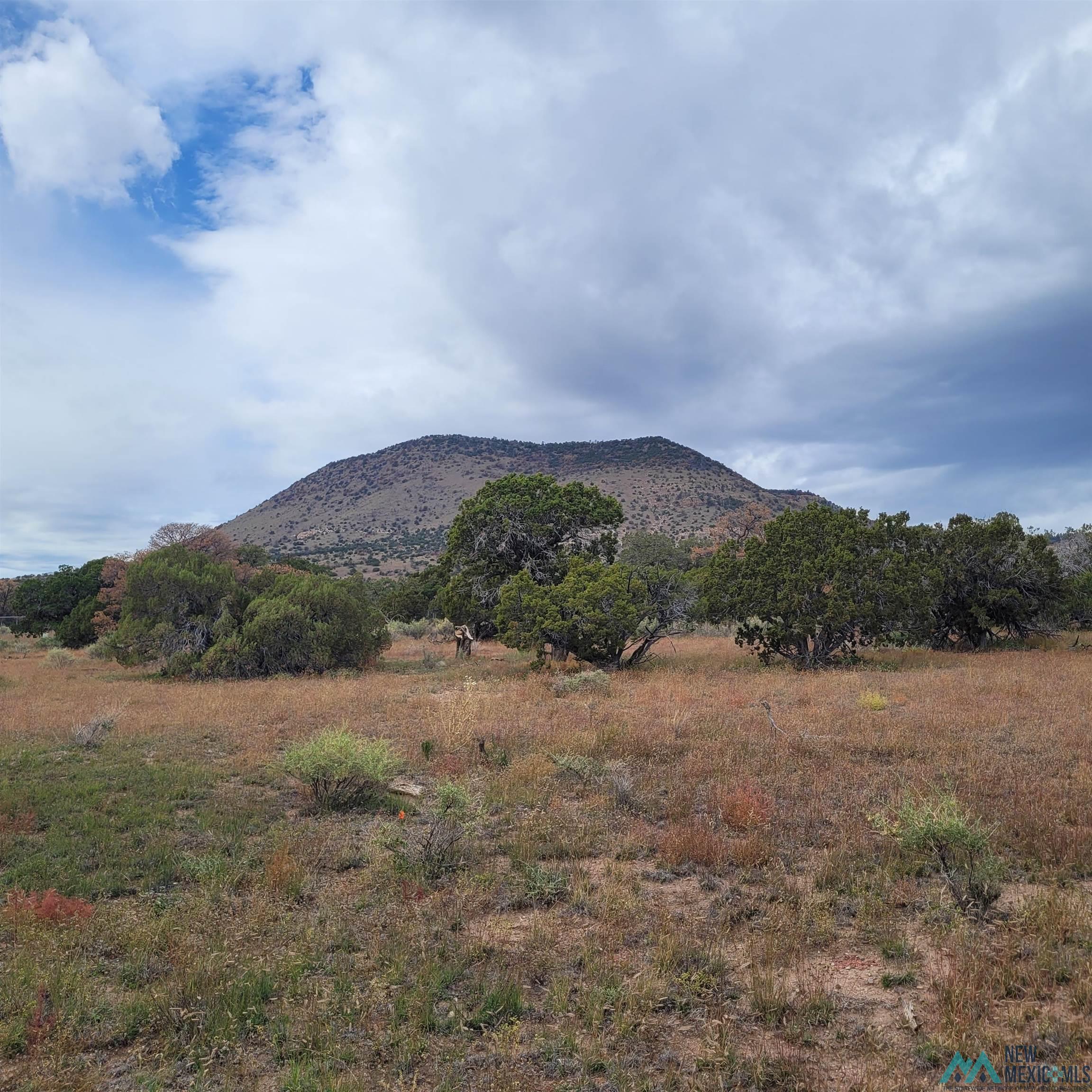 15 Elk Court Datil, NM 87821 - Photo 1 of 17