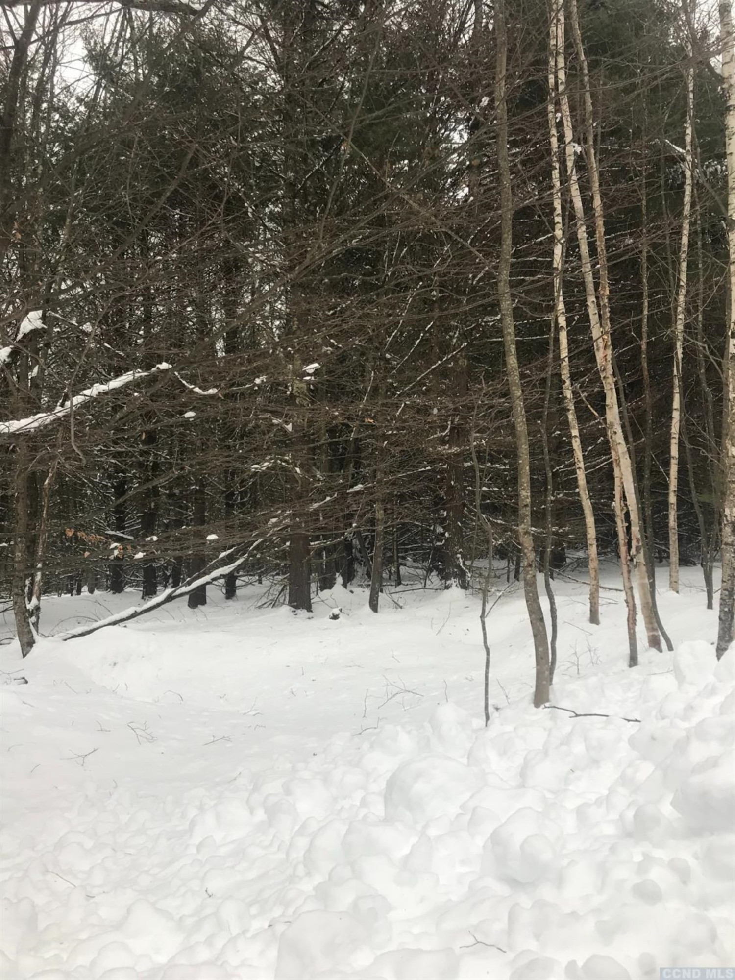 0 Vare Road Windham, NY 12496 - Photo 3 of 4 Photo 3