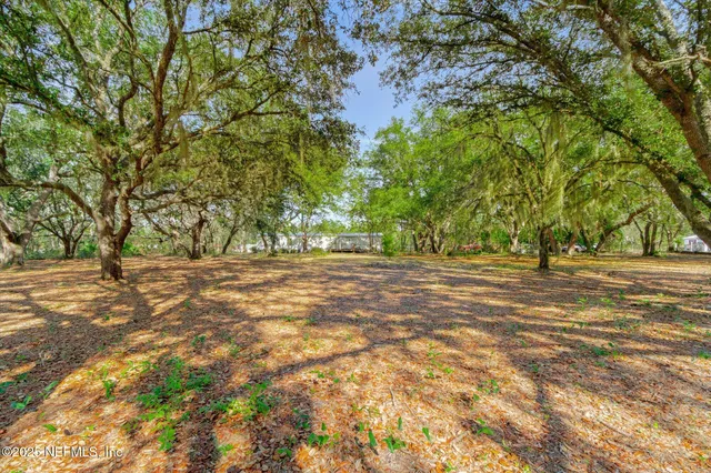 a view of a yard with plants and trees