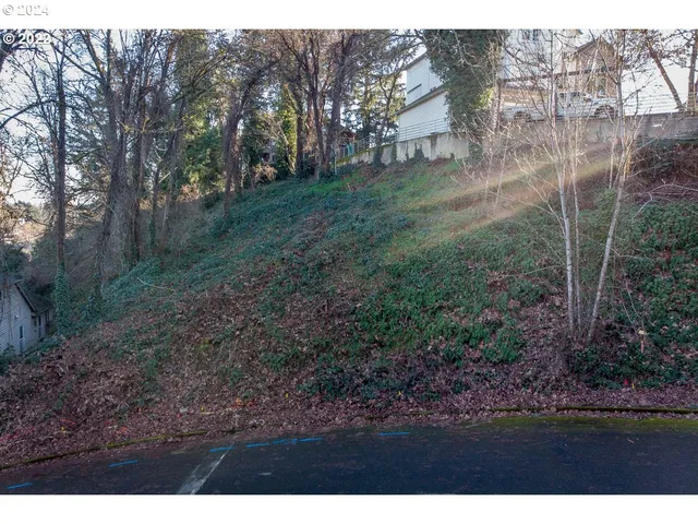 a view of a yard with large trees