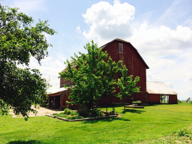 4766 Graham Road Somonauk, IL 60552 - Photo 23 of 25 a view of a backyard with potted plants and a large tree