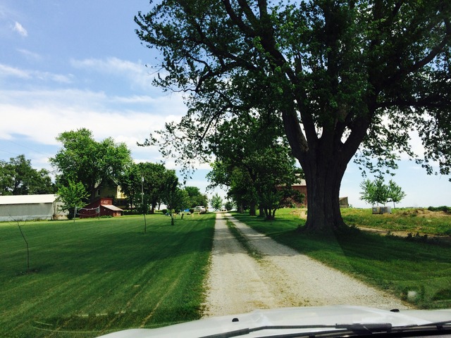4766 Graham Road Somonauk, IL 60552 - Photo 24 of 25 a view of a park with large trees