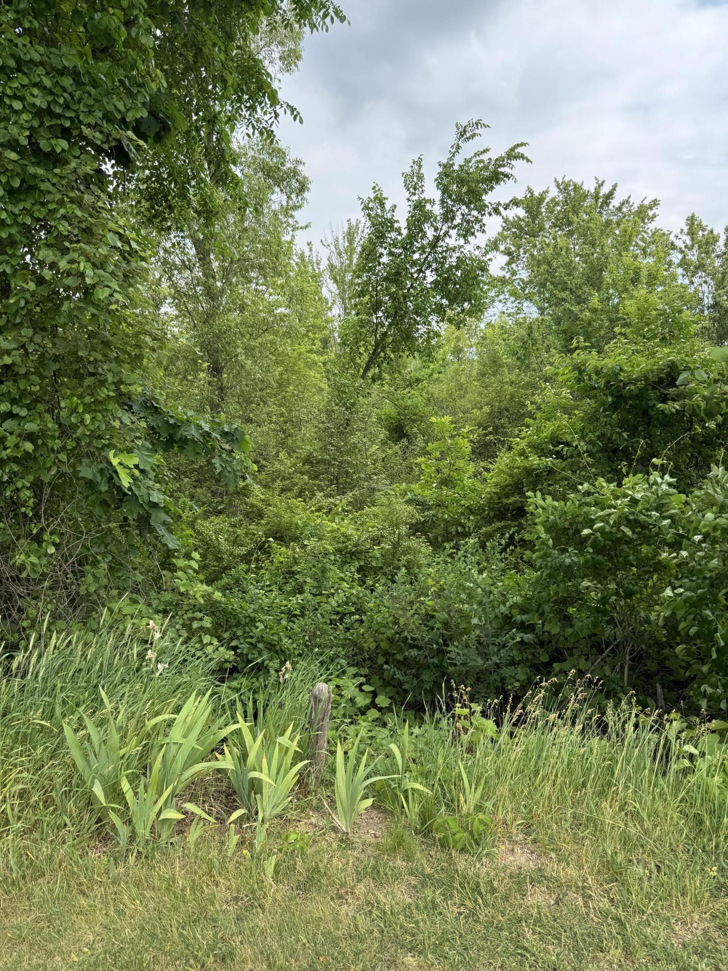 818 Raisin River Road Three Rivers, MI 49093 - Photo 25 of 26 37AA17BC-C11E-4B8B-B279-CEE3AE6F5DE9