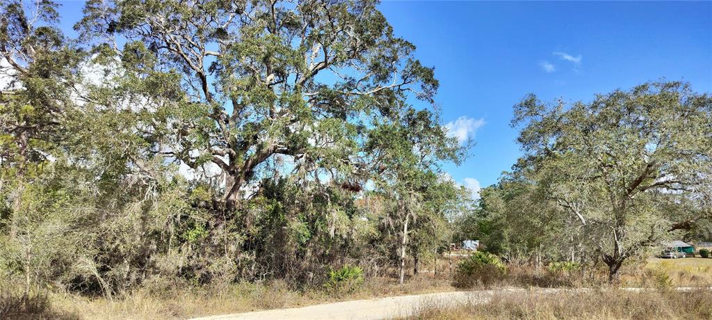4364 South Velma Point Homosassa, FL 34446 - Photo 1 of 1 a view of a yard