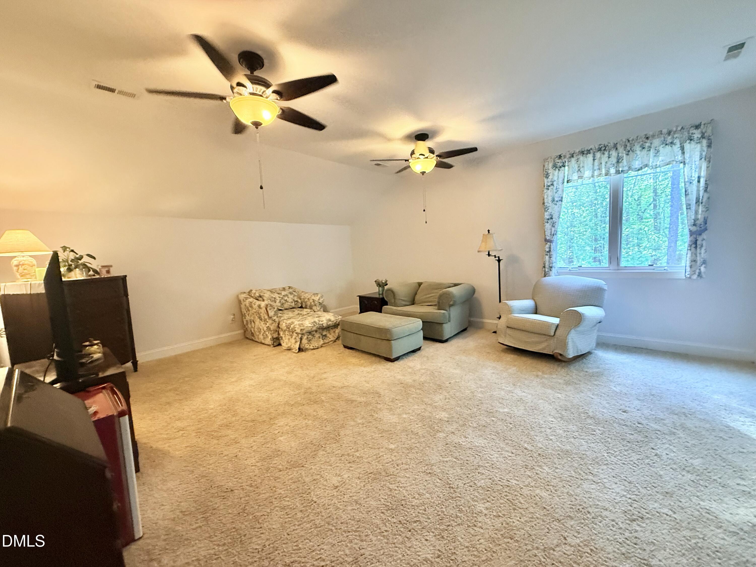 275 Kylasu Lane Roxboro, NC 27574 - Photo 49 of 68