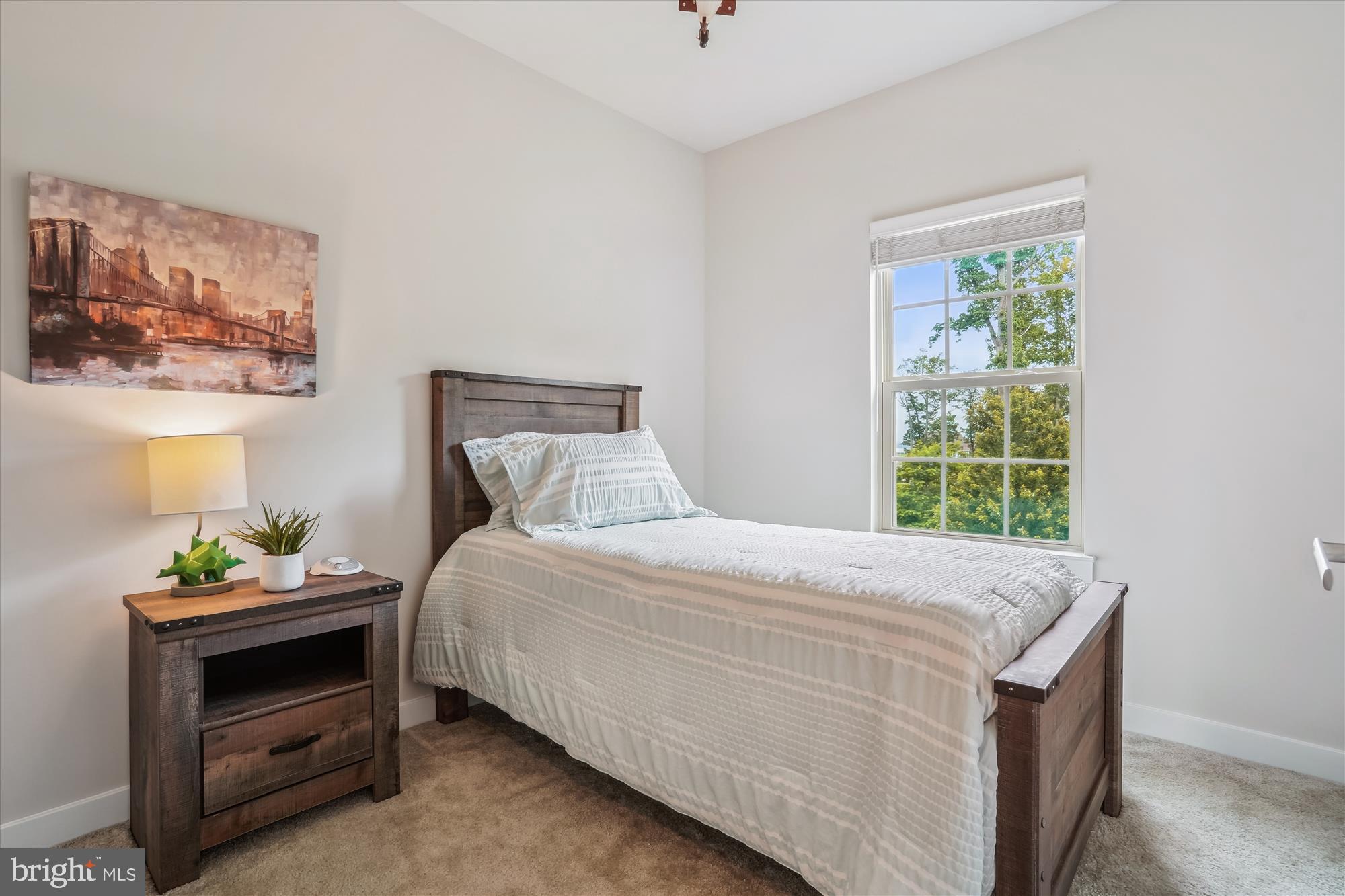 18004 Red Cedar Road Dumfries, VA 22026 - Photo 18 of 47 bedroom three, check out the view!!