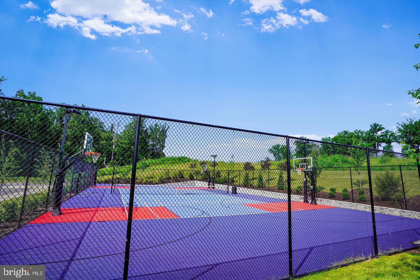 18004 Red Cedar Road Dumfries, VA 22026 - Photo 42 of 47 Sports courts