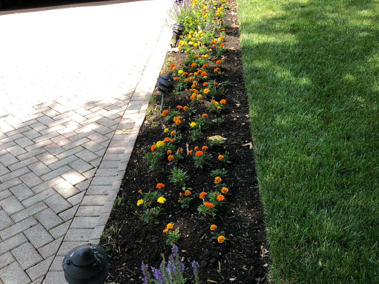 1026 Fortuna Avenue Park Ridge, IL 60068 - Photo 32 of 43 a picture of flowers