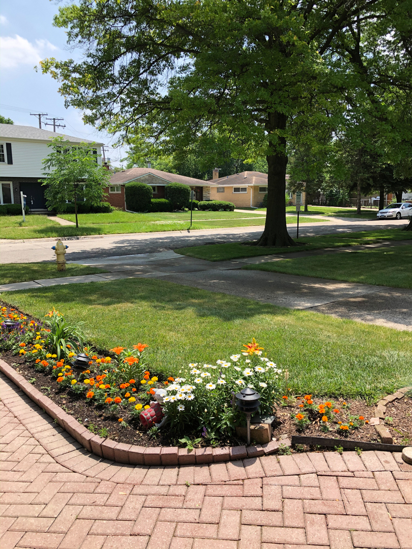 1026 Fortuna Avenue Park Ridge, IL 60068 - Photo 33 of 43 a view of a swimming pool with a yard