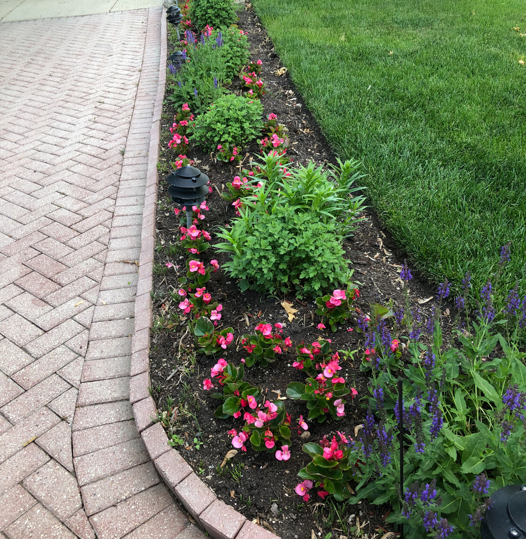 1026 Fortuna Avenue Park Ridge, IL 60068 - Photo 38 of 43 a flower view