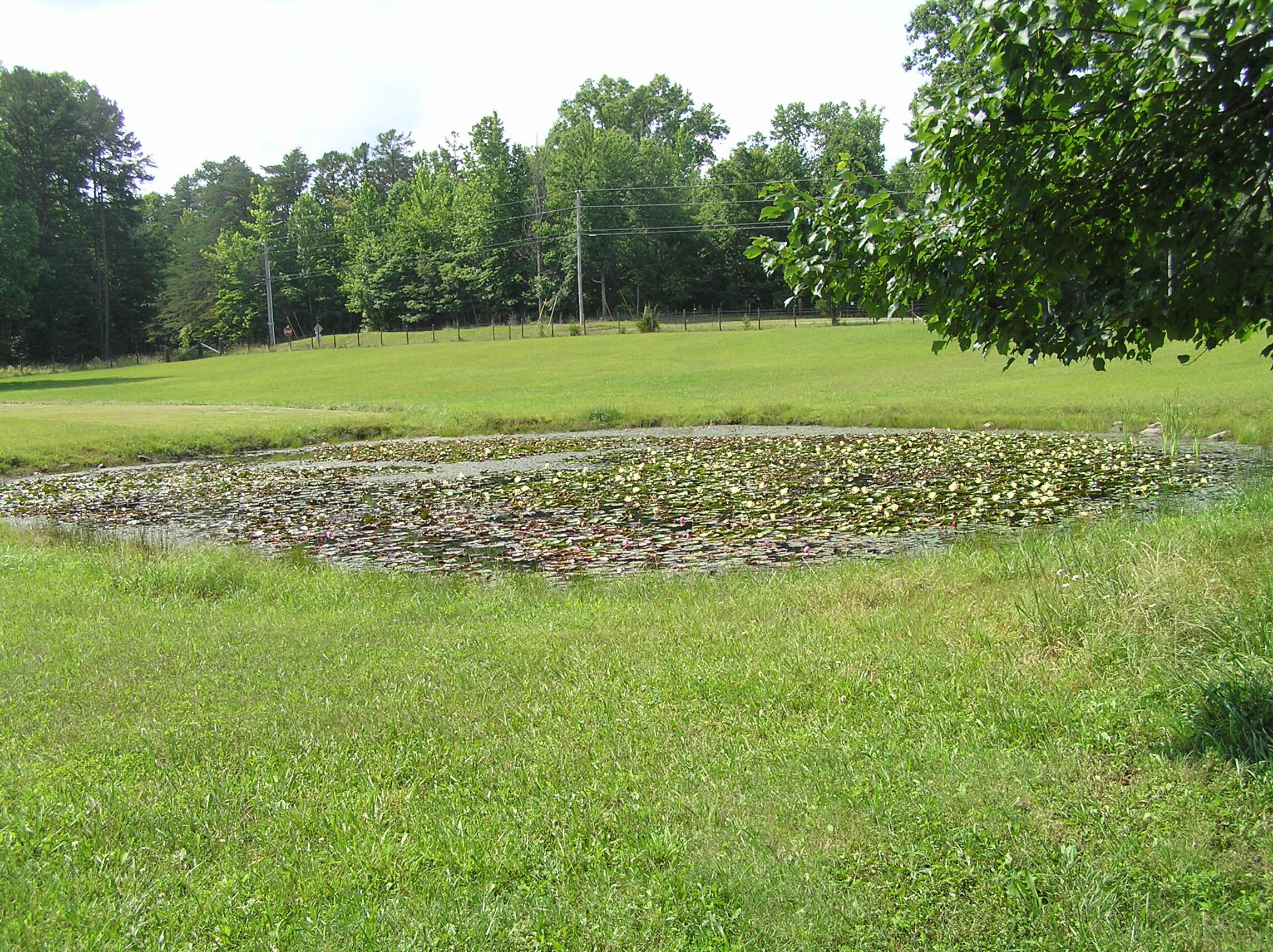 1200 T Crowe Road Soddy-Daisy, TN 37379 - Photo 14 of 41 P1010013