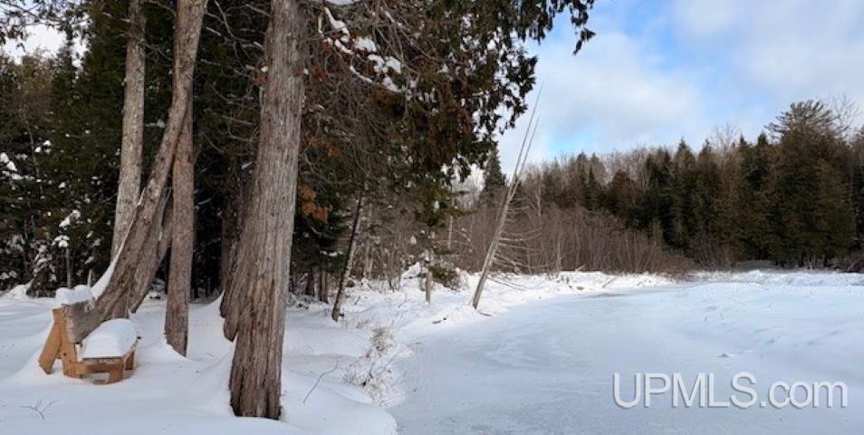 N7228 Rock River Road Deerton, MI 49822 - Photo 5 of 46
