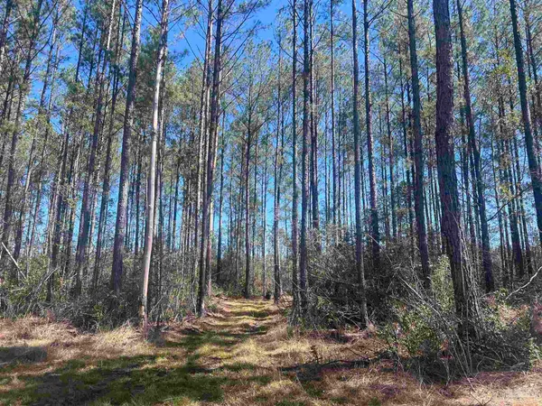 $127,500 | 9 Robinsonville Road, Atmore, AL 36502