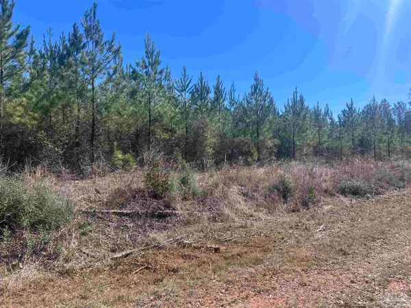 $127,500 | 9 Robinsonville Road, Atmore, AL 36502