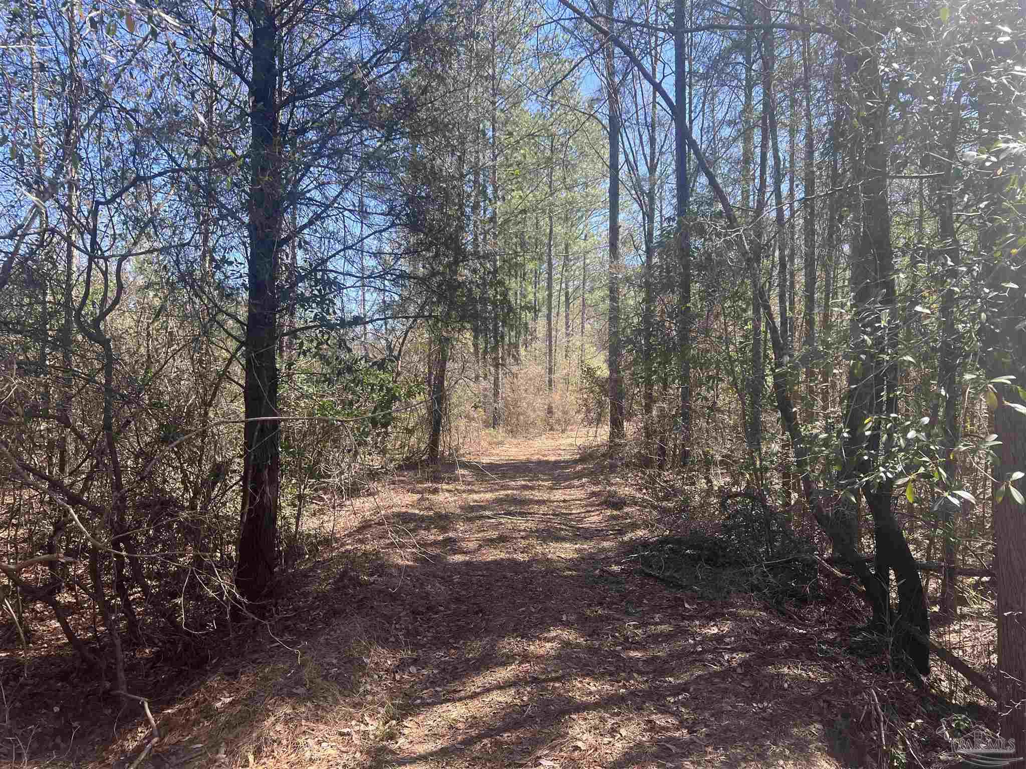 9 Robinsonville Road Atmore, AL 36502 - Photo 17 of 25