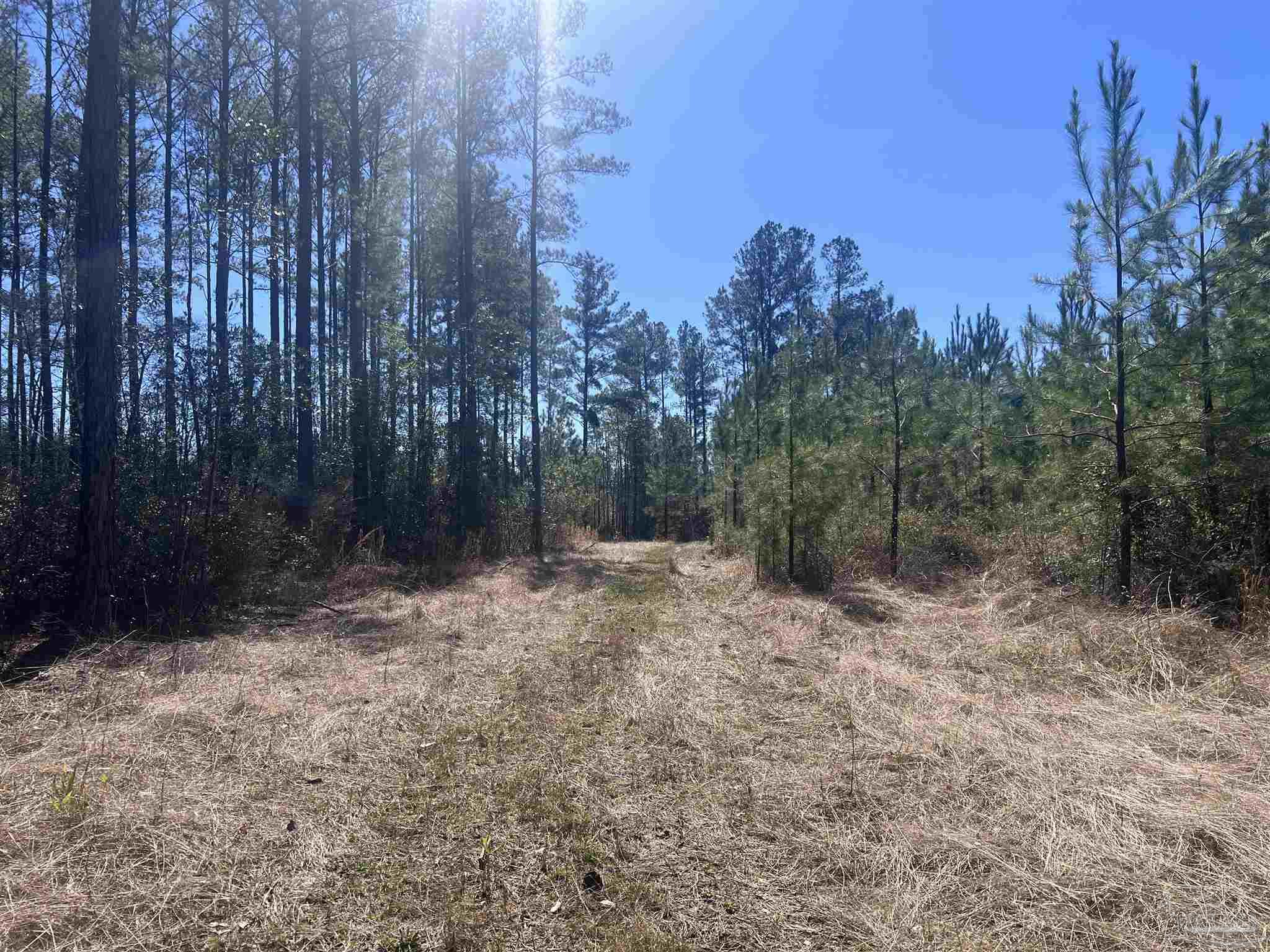 9 Robinsonville Road Atmore, AL 36502 - Photo 21 of 25