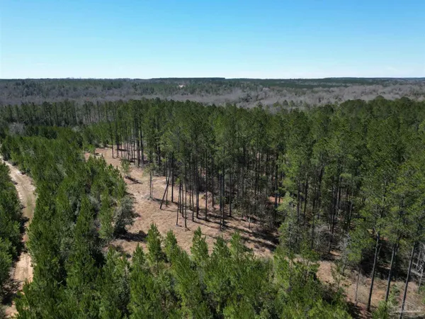$127,500 | 9 Robinsonville Road, Atmore, AL 36502