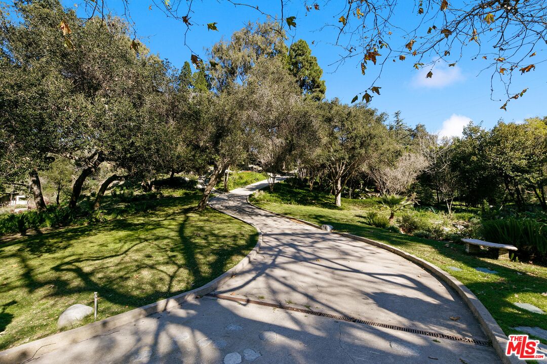 6070 Ramirez Canyon Road Malibu, CA 90265 - Photo 12 of 42 a view of a park with large trees