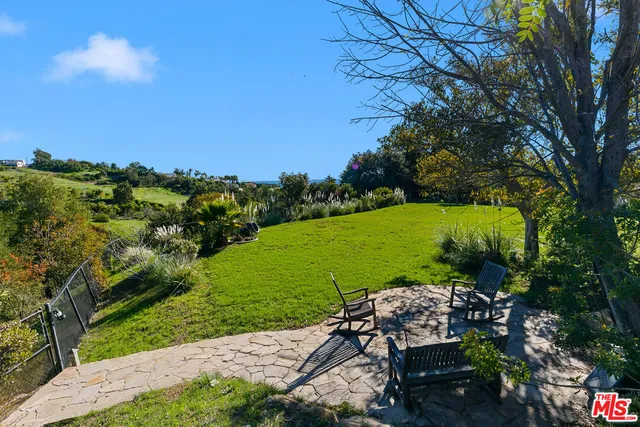 a view of a garden with plants
