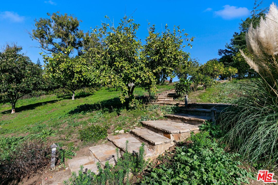 6070 Ramirez Canyon Road Malibu, CA 90265 - Photo 16 of 42 a garden view with a seating space