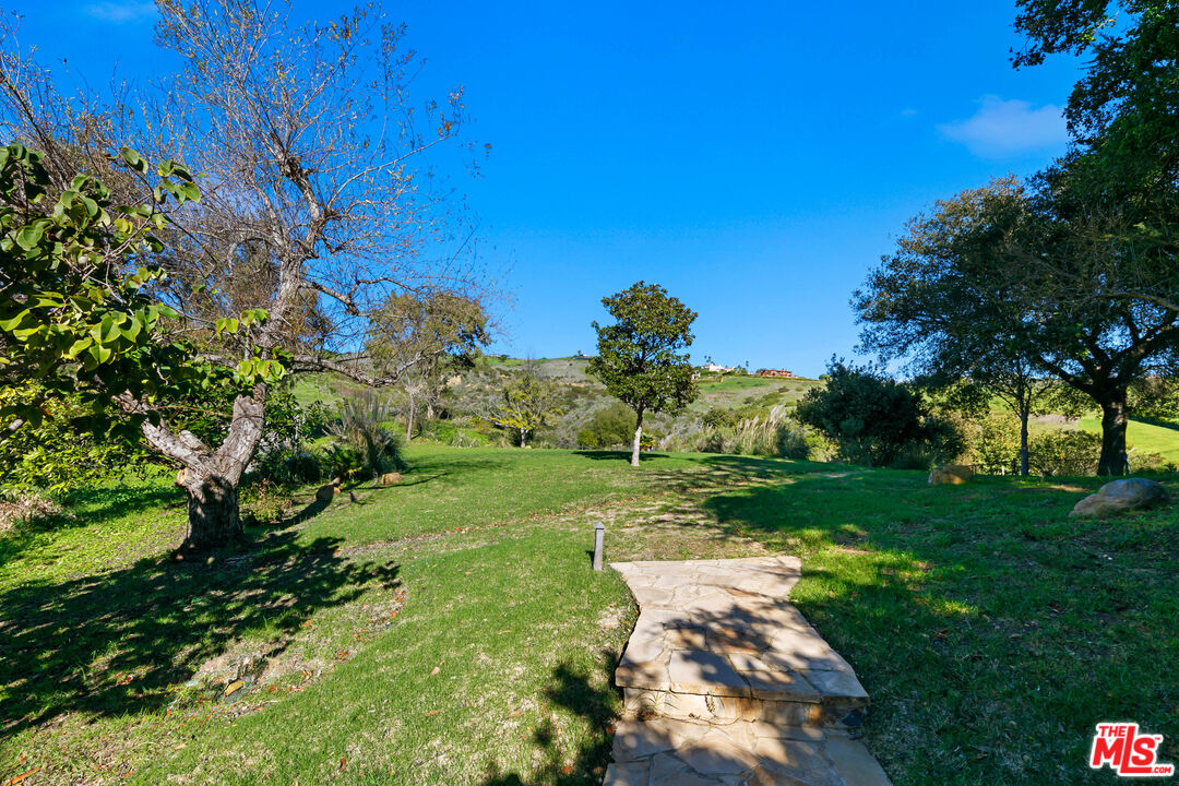 6070 Ramirez Canyon Road Malibu, CA 90265 - Photo 17 of 42 a view of a yard with an trees