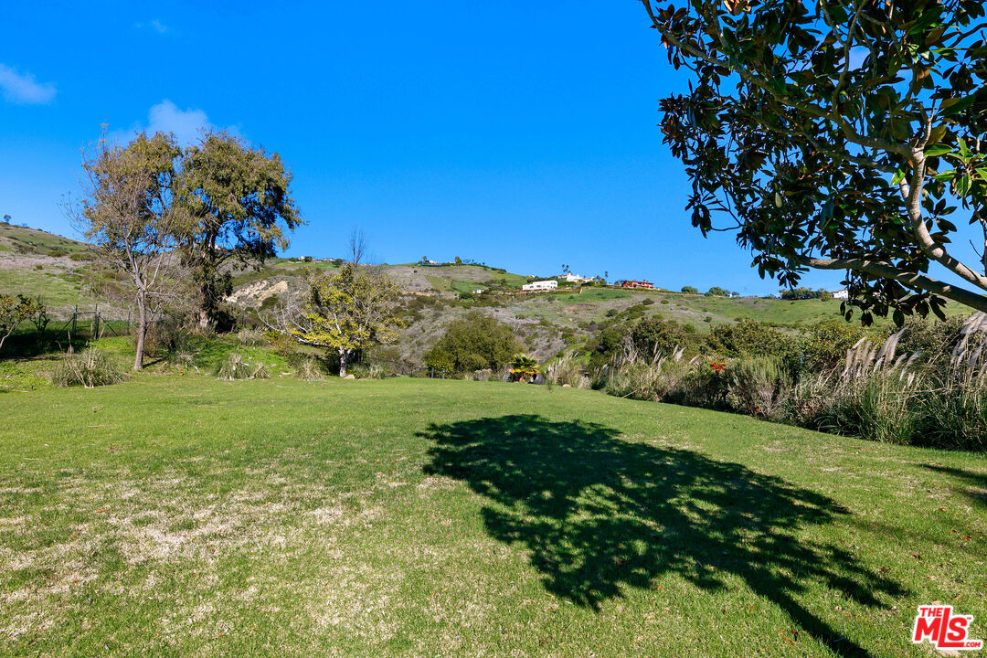 6070 Ramirez Canyon Road Malibu, CA 90265 - Photo 18 of 42 a view of a lush green space with lots of trees