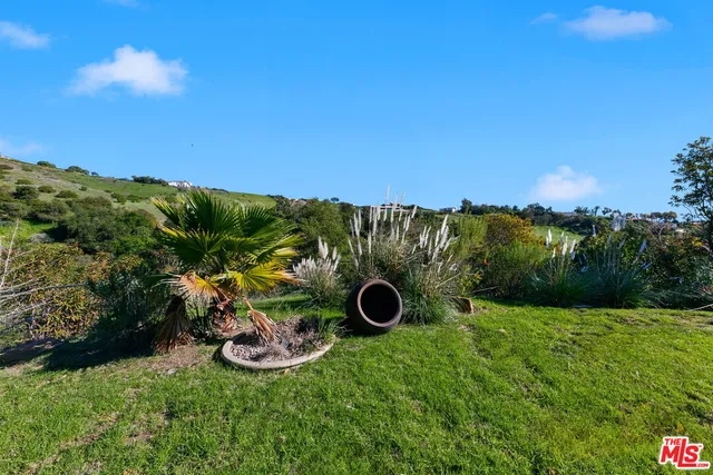 a view of a garden with a tree