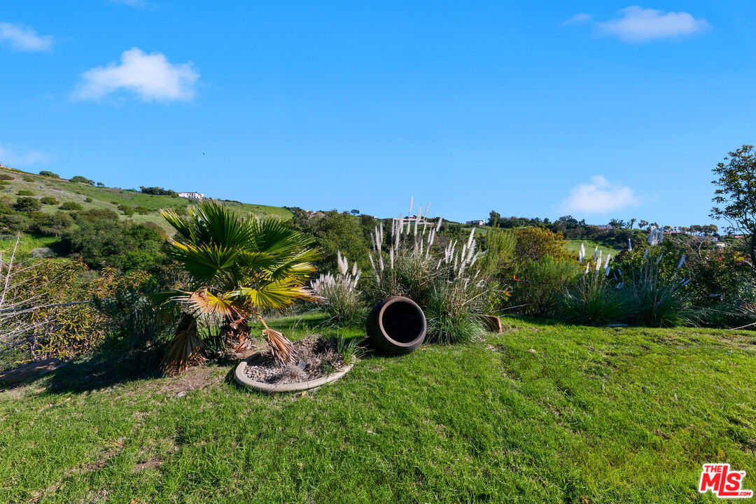 6070 Ramirez Canyon Road Malibu, CA 90265 - Photo 21 of 42 a view of an outdoor space with a garden