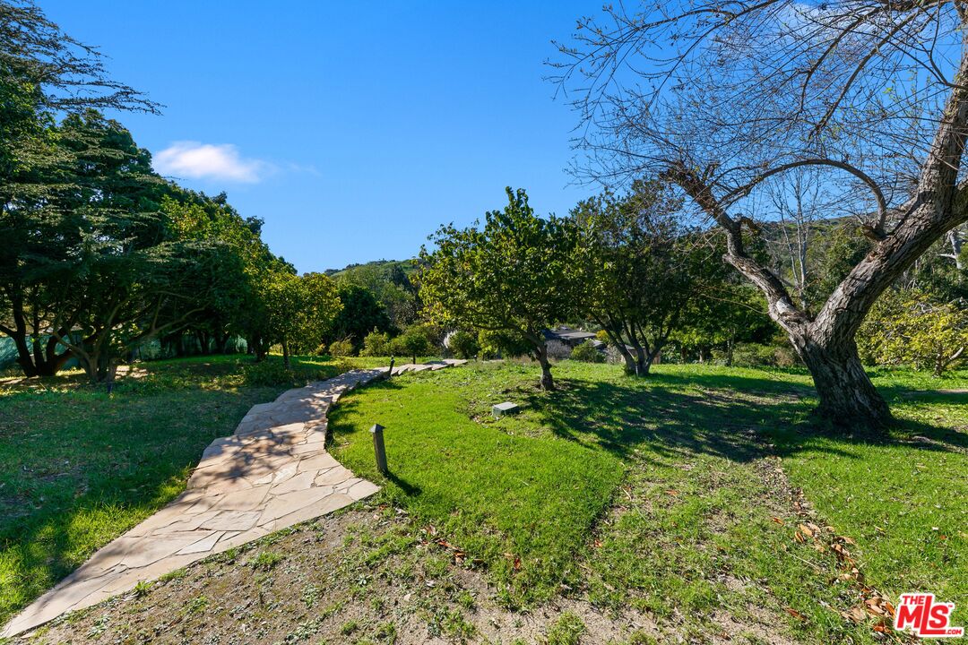 6070 Ramirez Canyon Road Malibu, CA 90265 - Photo 22 of 42 a view of a garden with a tree