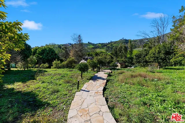 a view of garden with trees and flowers