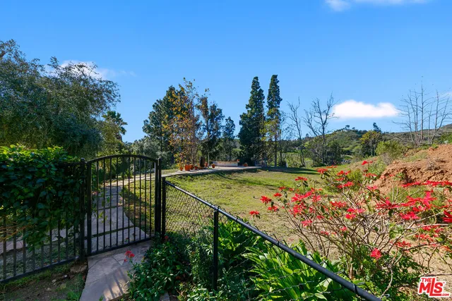 a view of a garden with a tree