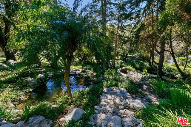 a view of a garden with a pathway